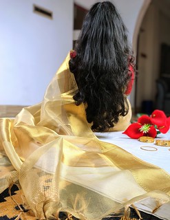 Tissue Silk Saree, Golden Colour Body with Golden Zari Border for Ocassional Wear, Unstitched Blouse-0