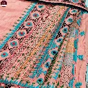 orange-grey-dual-tune-embroidery-saree-with-bp (3).webp