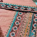 orange-grey-dual-tune-embroidery-saree-with-bp (4).webp